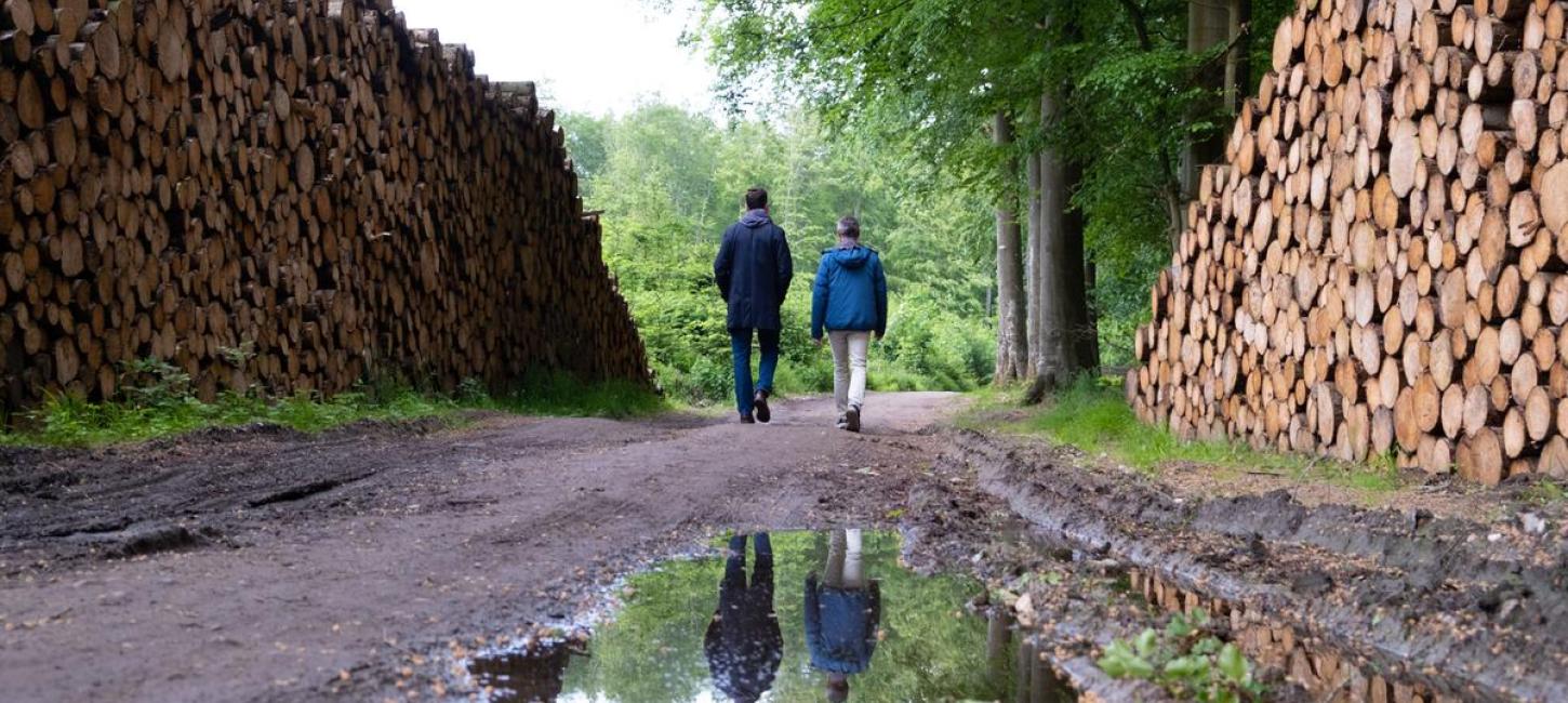 Øhavsstien Stengade Skov på Langeland