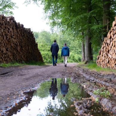 Øhavsstien Stengade Skov på Langeland