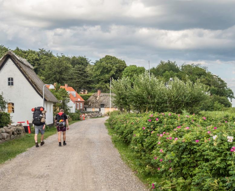 Vandrere på øhavsstien ved Dyreborg | Vandreferie | Øhavsstien