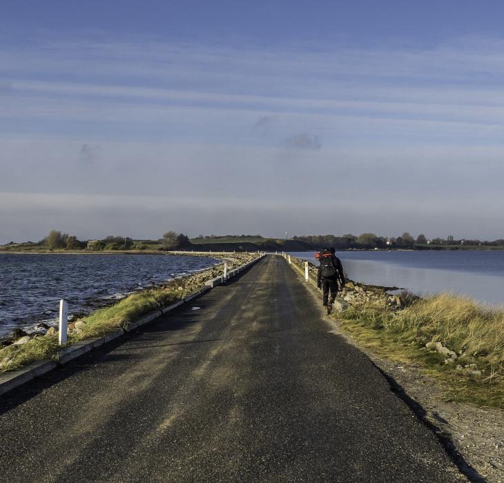 Drejet på Avernakø | Vandreferie | Øhavsstien